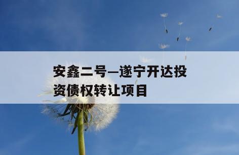 安鑫二号—遂宁开达投资债权转让项目
