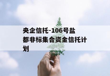央企信托-106号盐都非标集合资金信托计划