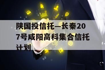 陕国投信托—长秦207号咸阳高科集合信托计划