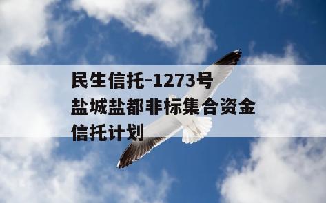 民生信托-1273号盐城盐都非标集合资金信托计划