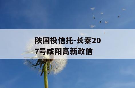 陕国投信托-长秦207号咸阳高新政信