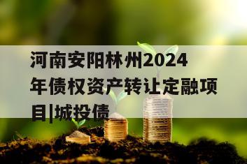 河南安阳林州2024年债权资产转让定融项目|城投债