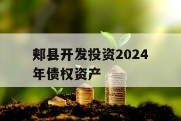郏县开发投资2024年债权资产