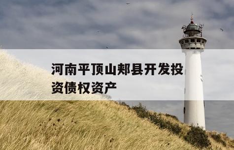 河南平顶山郏县开发投资债权资产