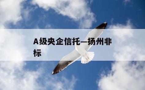 A级央企信托—扬州非标
