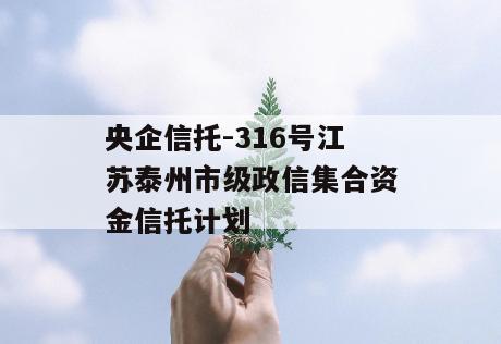 央企信托-316号江苏泰州市级政信集合资金信托计划