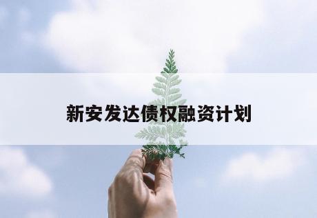 新安发达债权融资计划