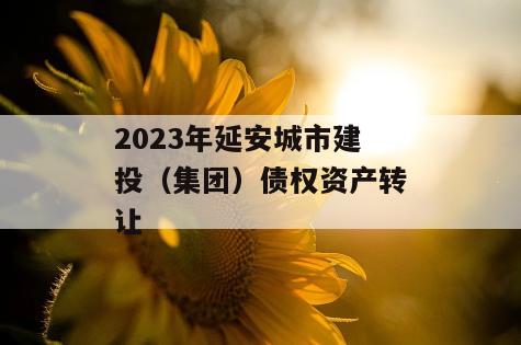 2023年延安城市建投（集团）债权资产转让