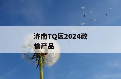 济南TQ区2024政信产品