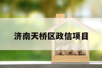 济南天桥区政信项目