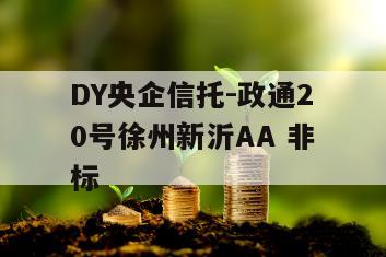 DY央企信托-政通20号徐州新沂AA 非标