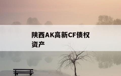 陕西AK高新CF债权资产