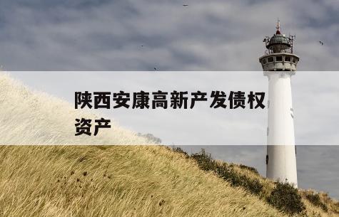陕西安康高新产发债权资产