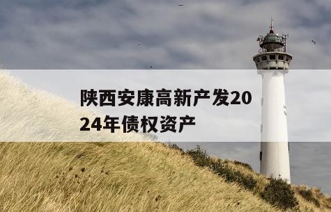 陕西安康高新产发2024年债权资产