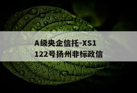 A级央企信托-XS1122号扬州非标政信