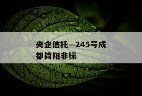 央企信托—245号成都简阳非标
