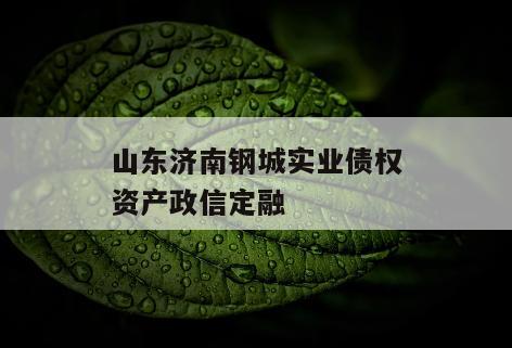 山东济南钢城实业债权资产政信定融