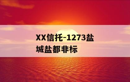 XX信托-1273盐城盐都非标