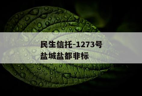 民生信托-1273号盐城盐都非标