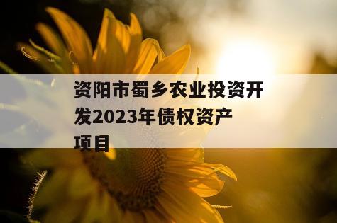 资阳市蜀乡农业投资开发2023年债权资产项目