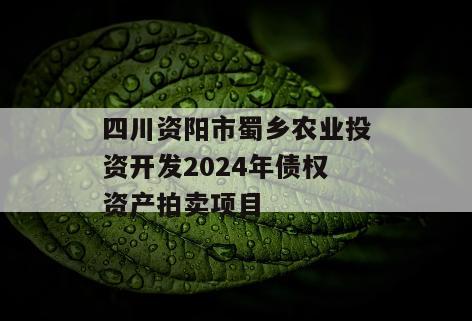 四川资阳市蜀乡农业投资开发2024年债权资产拍卖项目