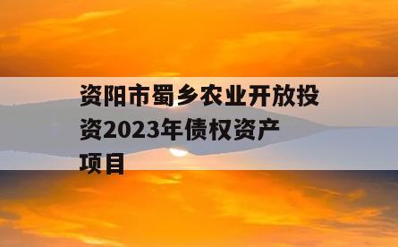 资阳市蜀乡农业开放投资2023年债权资产项目