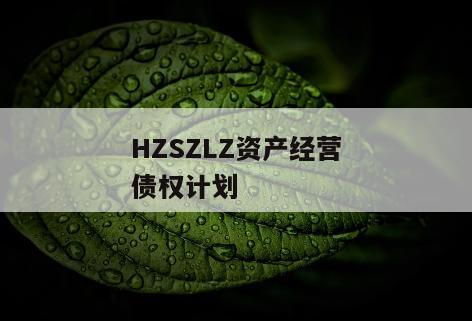 HZSZLZ资产经营债权计划