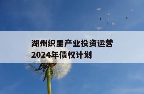 湖州织里产业投资运营2024年债权计划