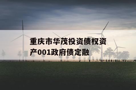 重庆市华茂投资债权资产001政府债定融