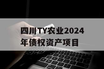 四川TY农业2024年债权资产项目