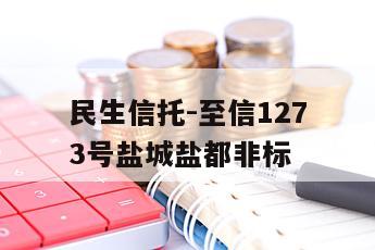 民生信托-至信1273号盐城盐都非标