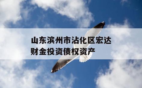 山东滨州市沾化区宏达财金投资债权资产