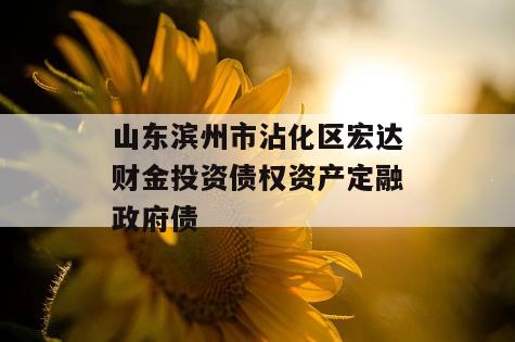 山东滨州市沾化区宏达财金投资债权资产定融政府债
