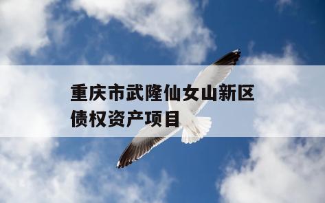重庆市武隆仙女山新区债权资产项目