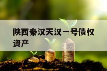陕西秦汉天汉一号债权资产