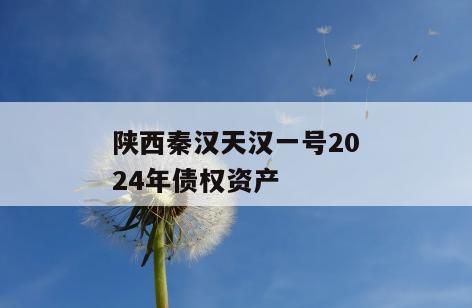 陕西秦汉天汉一号2024年债权资产