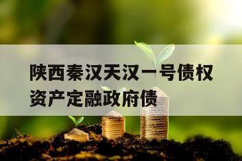 陕西秦汉天汉一号债权资产定融政府债