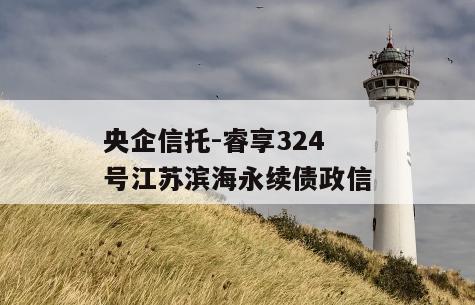 央企信托-睿享324号江苏滨海永续债政信