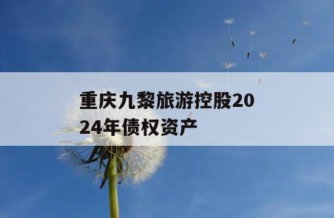 重庆九黎旅游控股2024年债权资产