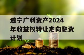 遂宁广利资产2024年收益权转让定向融资计划