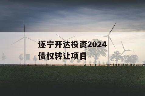 遂宁开达投资2024债权转让项目