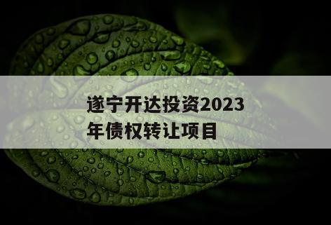 遂宁开达投资2023年债权转让项目