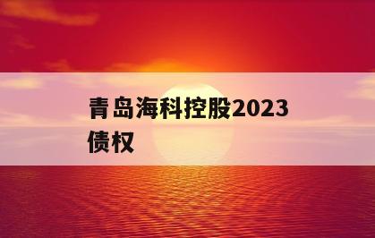 青岛海科控股2023债权