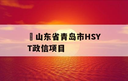 ​山东省青岛市HSYT政信项目