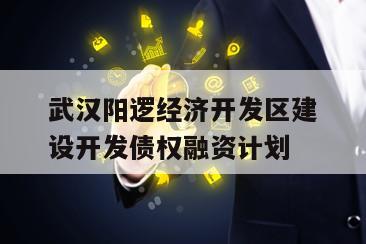 武汉阳逻经济开发区建设开发债权融资计划