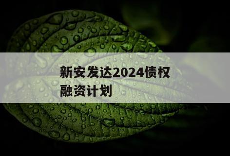 新安发达2024债权融资计划