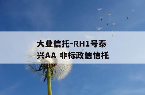 大业信托-RH1号泰兴AA 非标政信信托