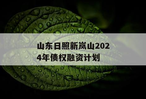 山东日照新岚山2024年债权融资计划