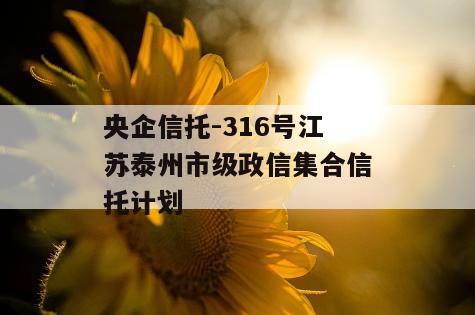 央企信托-316号江苏泰州市级政信集合信托计划