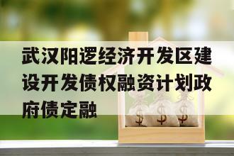 武汉阳逻经济开发区建设开发债权融资计划政府债定融